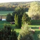 Puskás Akadémia Sport és Wellness Hotel Alcsútdoboz - Környék