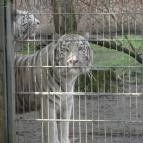 Hotel Siesta Nyíregyháza - Környék