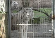 Hotel Siesta Nyíregyháza