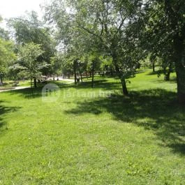 Touring Hotel Cserkeszőlő, Cserkeszőlő - Medence/kert