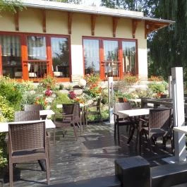 Tó Wellness Hotel Bánk - Medence/kert