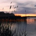 Donautica Hotel Fadd - Környék