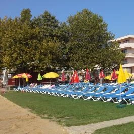 Flamingó Wellness & Konferencia Hotel Balatonfüred - Medence/kert