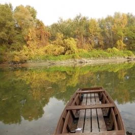 Jankovich Kúria Wellness Hotel Rácalmás - Környék