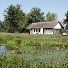 Orchidea Hotel Lipót Lipót - Medence/kert