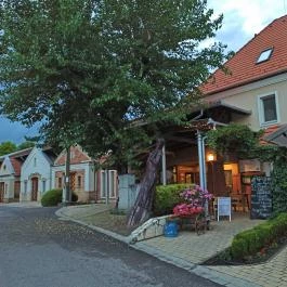 Pincelakat Borház & Szálloda Császártöltés - Külső kép