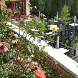 Tó Wellness Hotel Bánk - Medence/kert