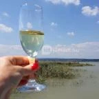 Tornácos Panzió Hegykő - Környék