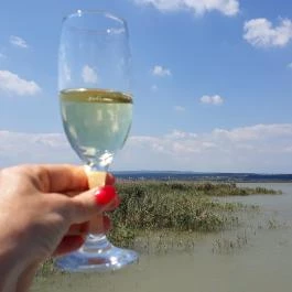 Tornácos Panzió Hegykő - Környék