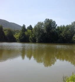 Vadregény Panzió és Üdülőpark 