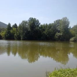 Vadregény Panzió és Üdülőpark Esztergom - Környék