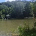 Vadregény Panzió és Üdülőpark Esztergom - Környék