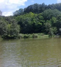 Vadregény Panzió és Üdülőpark 