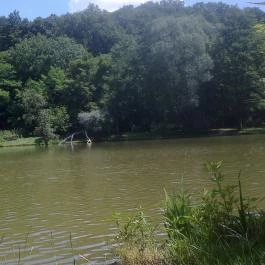 Vadregény Panzió és Üdülőpark Esztergom - Környék