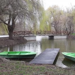 Zichy Park Hotel, Bikács - Medence/kert