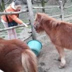 Zichy Park Hotel Bikács - Egyéb