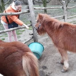 Zichy Park Hotel, Bikács - Egyéb