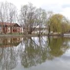 Zichy Park Hotel Bikács - Medence/kert