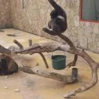 Hotel Nagyerdő Debrecen - Környék