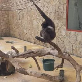 Hotel Nagyerdő Debrecen - Környék