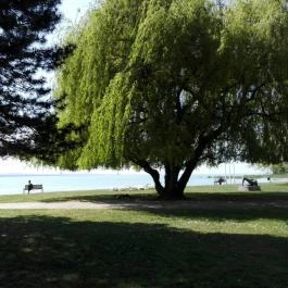 Club Tihany Hotel Tihany - Környék