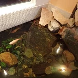 Grandhotel Galya, Galyatető - Belső