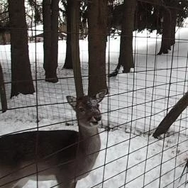 Grandhotel Galya, Galyatető - Környék