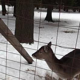 Grandhotel Galya, Galyatető - Környék