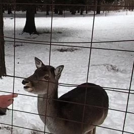Grandhotel Galya, Galyatető - Környék