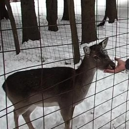 Grandhotel Galya, Galyatető - Környék