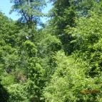 Hotel Visegrád Visegrád - Külső kép