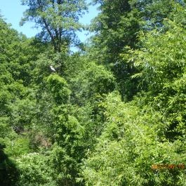 Hotel Visegrád, Visegrád - Külső kép