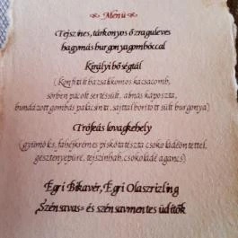 Hotel Visegrád, Visegrád - Vendéglátás