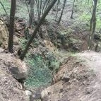 Apci tengerszem Apc - Egyéb