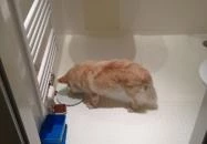 Hotel Corner Komárom