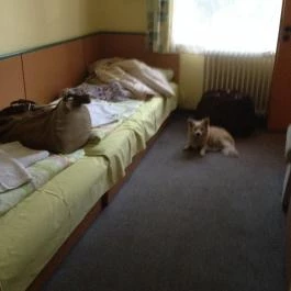 Hotel Gyöngyvirág, Mátrafüred - Szobák