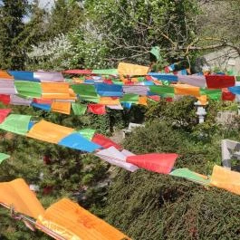 Samsara Hangtál, Garáb - Egyéb