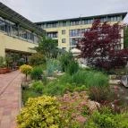 SunGarden Wellness Hotel Siófok - Medence/kert