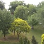 Hotel Marina Balatonfüred - Medence/kert