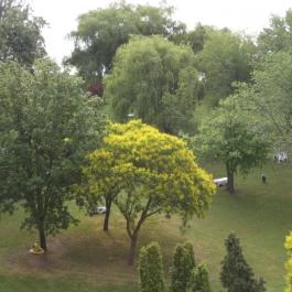 Hotel Marina Balatonfüred - Medence/kert