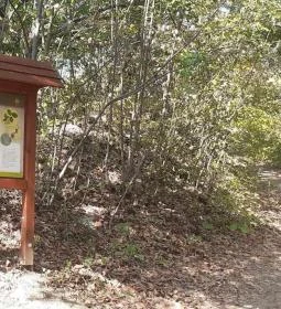 Csodabogyó tanösvény