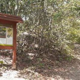 Csodabogyó tanösvény Siklós - Külső kép