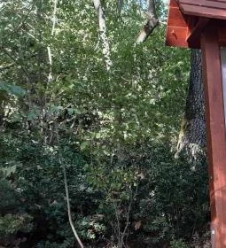 Csodabogyó tanösvény