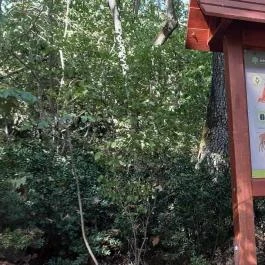 Csodabogyó tanösvény Siklós - Külső kép