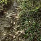 Csodabogyó tanösvény Siklós - Külső kép