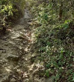 Csodabogyó tanösvény