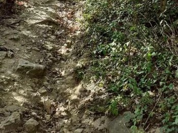 Csodabogyó tanösvény Siklós