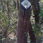 Csodabogyó tanösvény Siklós - Külső kép