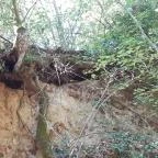 Csodabogyó tanösvény Siklós - Külső kép