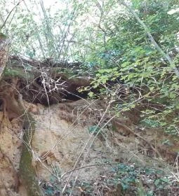 Csodabogyó tanösvény